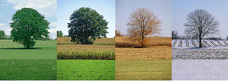 《群星》第九季扩展包现已上线